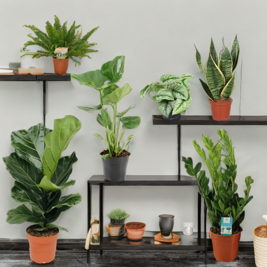 Wohnung Komplett-Set (6er-Set)